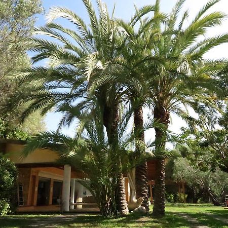 Villaggio Garden Park Marina di Camerota Ngoại thất bức ảnh