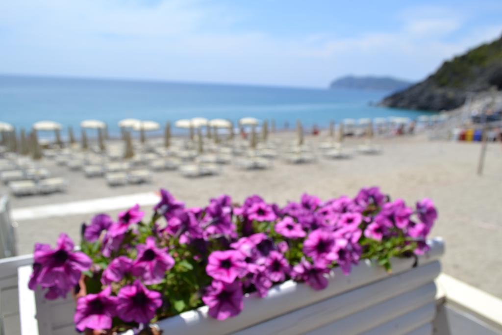 Villaggio Garden Park Marina di Camerota Ngoại thất bức ảnh