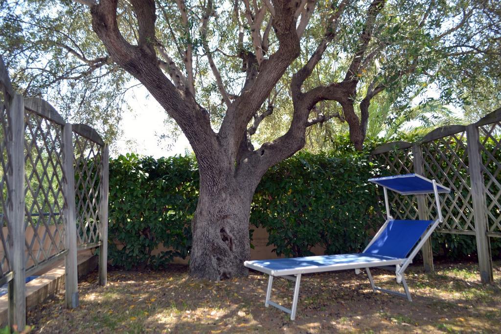 Villaggio Garden Park Marina di Camerota Ngoại thất bức ảnh