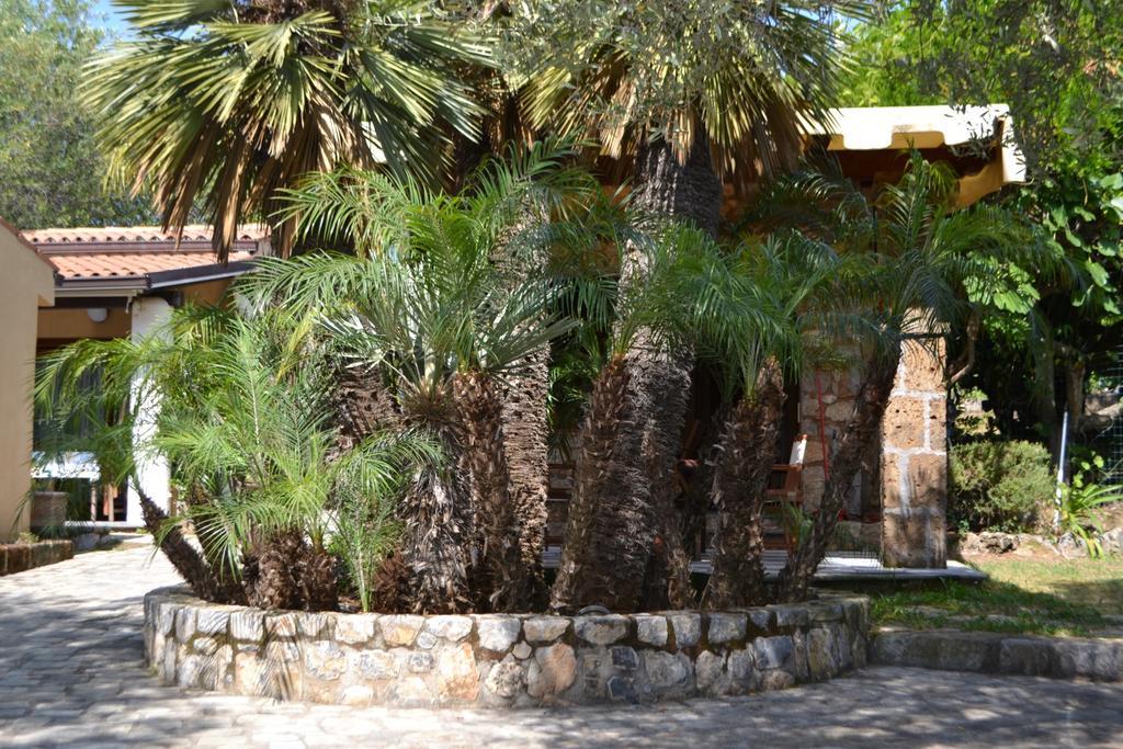 Villaggio Garden Park Marina di Camerota Ngoại thất bức ảnh