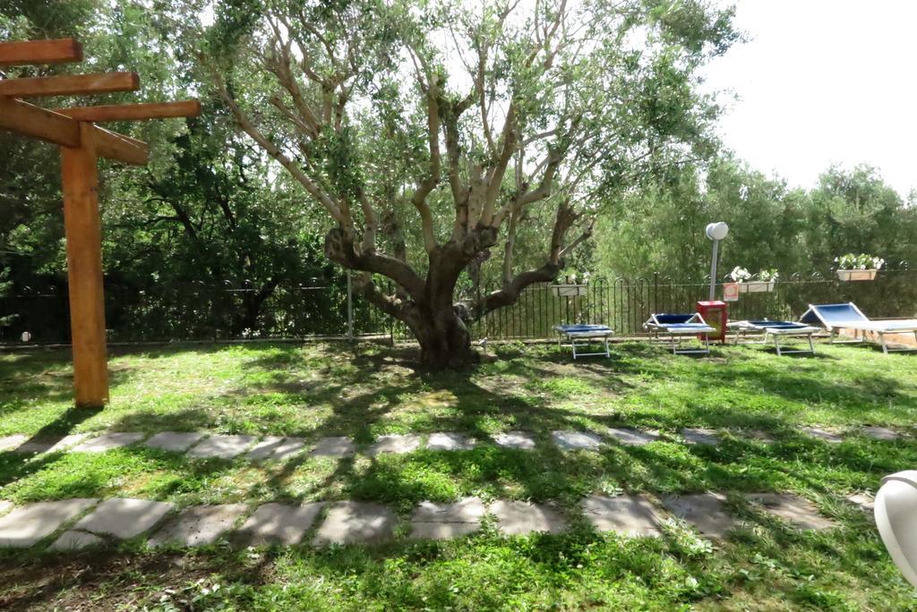 Villaggio Garden Park Marina di Camerota Ngoại thất bức ảnh