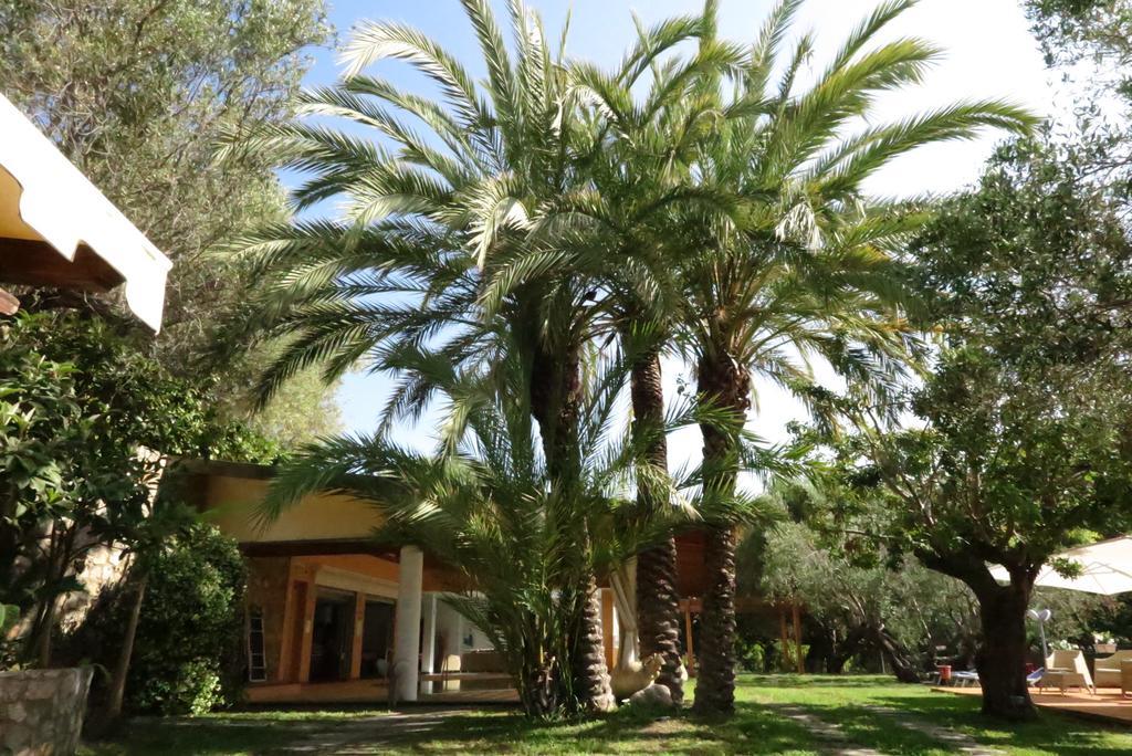 Villaggio Garden Park Marina di Camerota Ngoại thất bức ảnh